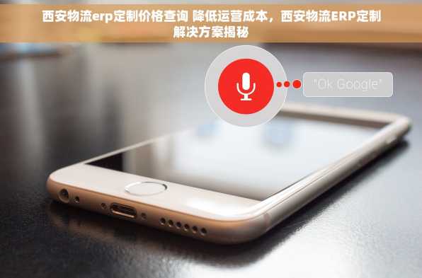 西安物流erp定制价格查询 降低运营成本，西安物流ERP定制解决方案揭秘