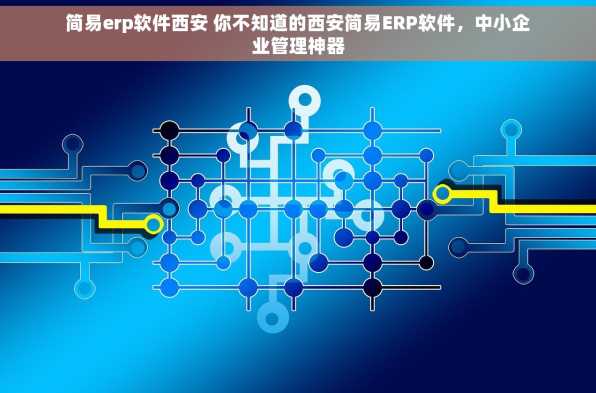 简易erp软件西安 你不知道的西安简易ERP软件，中小企业管理神器