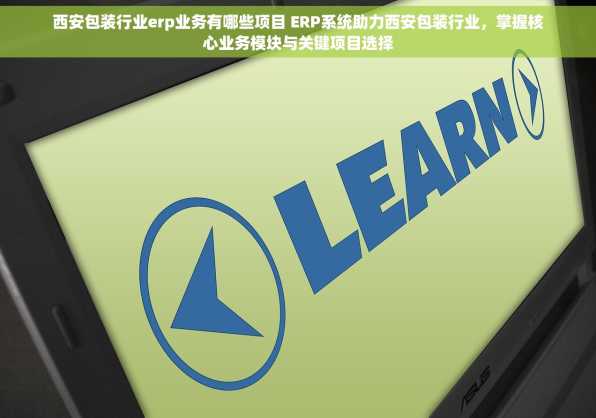 西安包装行业erp业务有哪些项目 ERP系统助力西安包装行业，掌握核心业务模块与关键项目选择