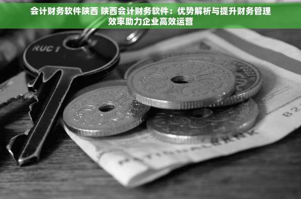 会计财务软件陕西 陕西会计财务软件：优势解析与提升财务管理效率助力企业高效运营