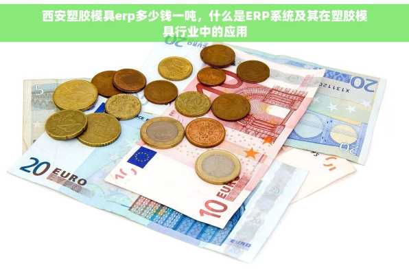 西安塑胶模具erp多少钱一吨，什么是ERP系统及其在塑胶模具行业中的应用