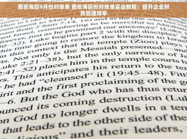 西安海巨9月份对账单 西安海巨份对账单实战教程：提升企业财务管理效率