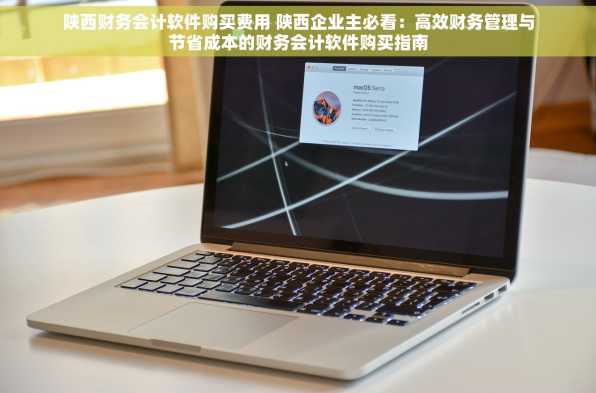 陕西财务会计软件购买费用 陕西企业主必看：高效财务管理与节省成本的财务会计软件购买指南