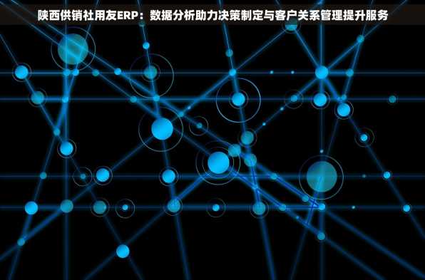 陕西供销社用友ERP：数据分析助力决策制定与客户关系管理提升服务
