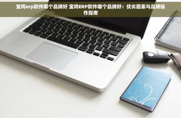 宝鸡erp软件哪个品牌好 宝鸡ERP软件哪个品牌好：优劣因素与品牌操作指南
