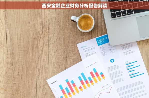 西安金融企业财务分析报告解读