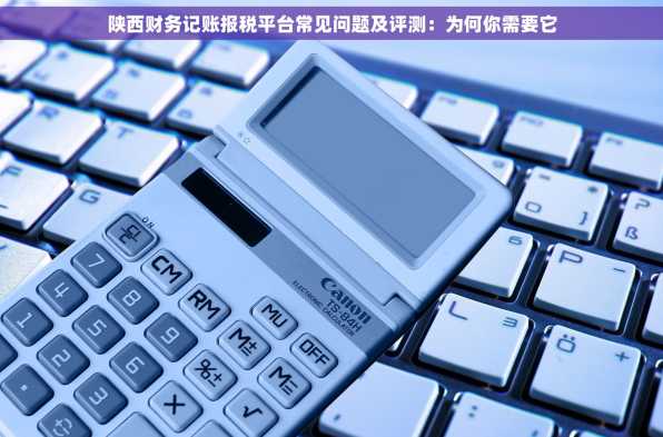 陕西财务记账报税平台常见问题及评测：为何你需要它