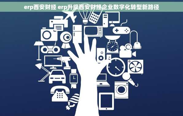 erp西安财经 erp升级西安财经企业数字化转型新路径