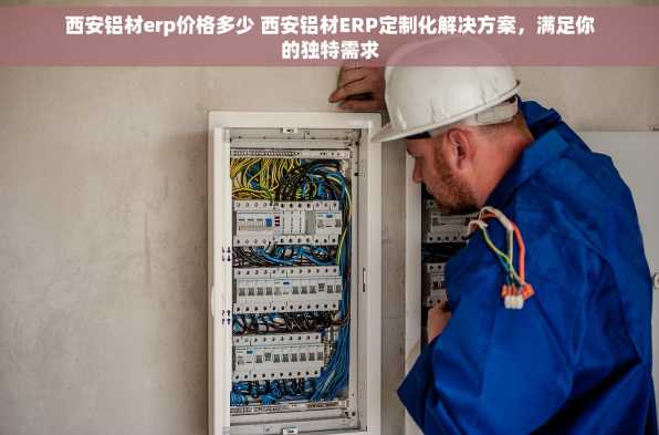 西安铝材erp价格多少 西安铝材ERP定制化解决方案，满足你的独特需求