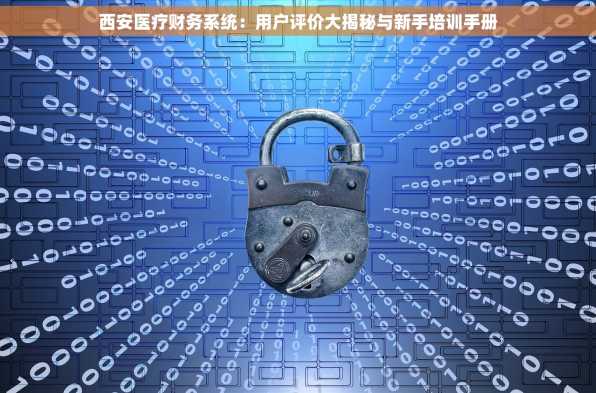 西安医疗财务系统：用户评价大揭秘与新手培训手册