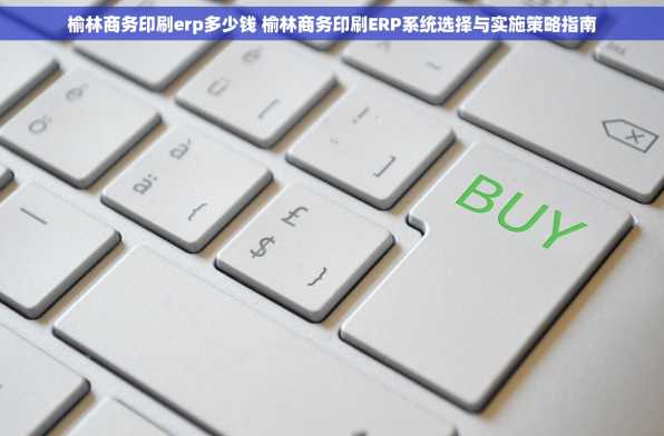 榆林商务印刷erp多少钱 榆林商务印刷ERP系统选择与实施策略指南