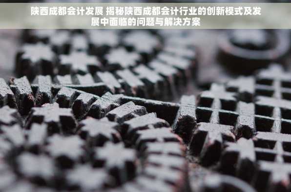 陕西成都会计发展 揭秘陕西成都会计行业的创新模式及发展中面临的问题与解决方案