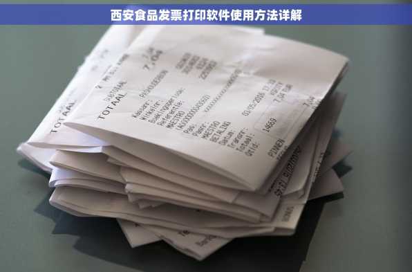 西安食品发票打印软件使用方法详解