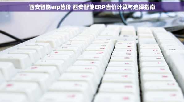 西安智能erp售价 西安智能ERP售价计算与选择指南