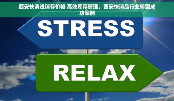 西安快消进销存价格 高效库存管理，西安快消品行业转型成功案例