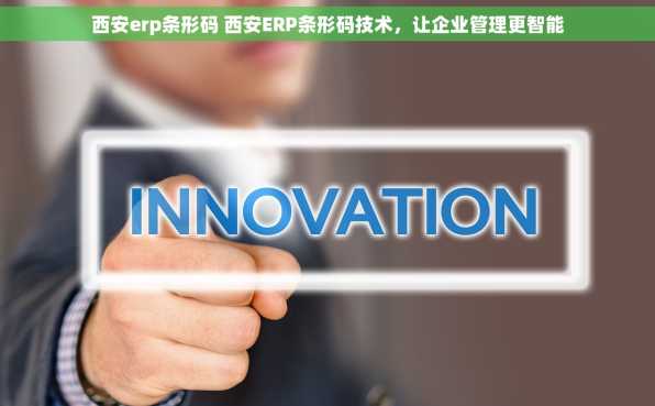 西安erp条形码 西安ERP条形码技术，让企业管理更智能