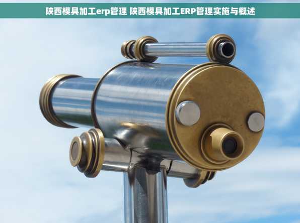 陕西模具加工erp管理 陕西模具加工ERP管理实施与概述