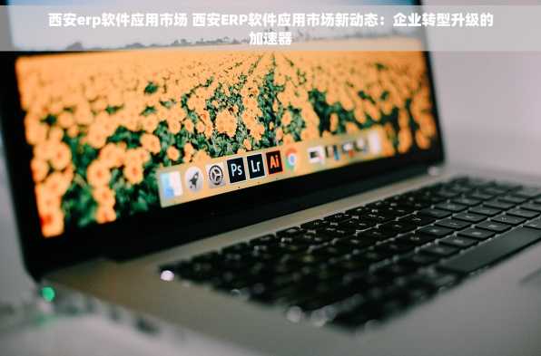 西安erp软件应用市场 西安ERP软件应用市场新动态：企业转型升级的加速器