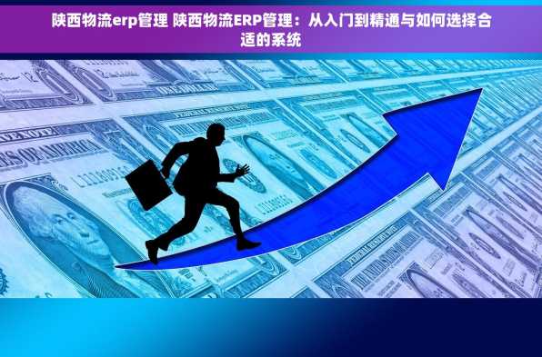 陕西物流erp管理 陕西物流ERP管理：从入门到精通与如何选择合适的系统