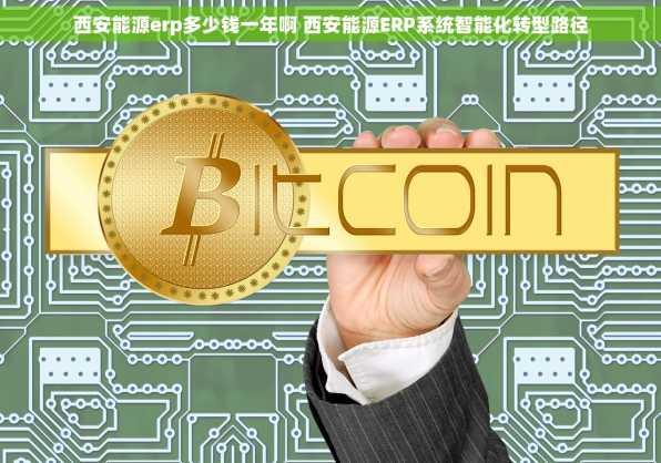 西安能源erp多少钱一年啊 西安能源ERP系统智能化转型路径