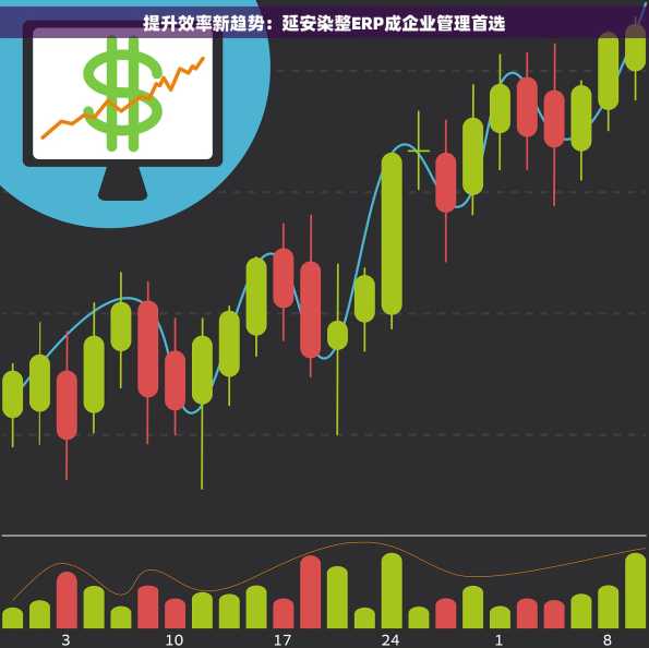 提升效率新趋势：延安染整ERP成企业管理首选