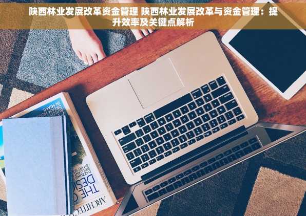 陕西林业发展改革资金管理 陕西林业发展改革与资金管理：提升效率及关键点解析