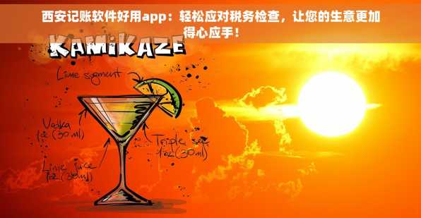 西安记账软件好用app：轻松应对税务检查，让您的生意更加得心应手！