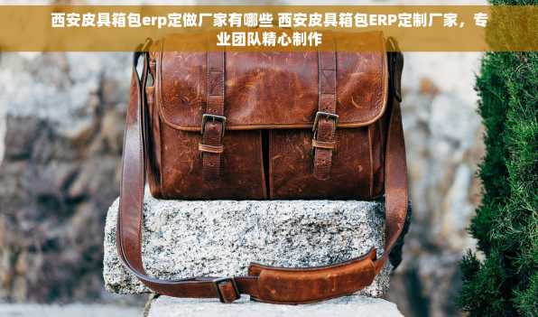 西安皮具箱包erp定做厂家有哪些 西安皮具箱包ERP定制厂家，专业团队精心制作
