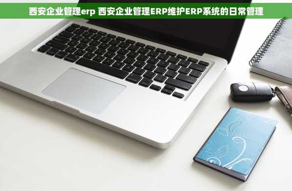 西安企业管理erp 西安企业管理ERP维护ERP系统的日常管理