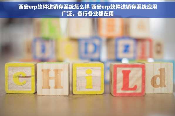 西安erp软件进销存系统怎么样 西安erp软件进销存系统应用广泛，各行各业都在用