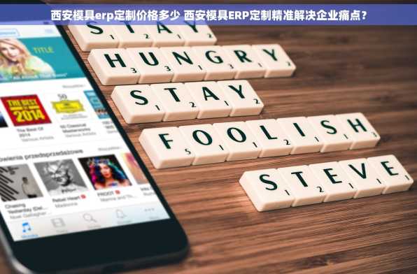 西安模具erp定制价格多少 西安模具ERP定制精准解决企业痛点？