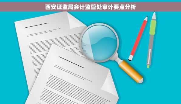 西安证监局会计监管处审计要点分析