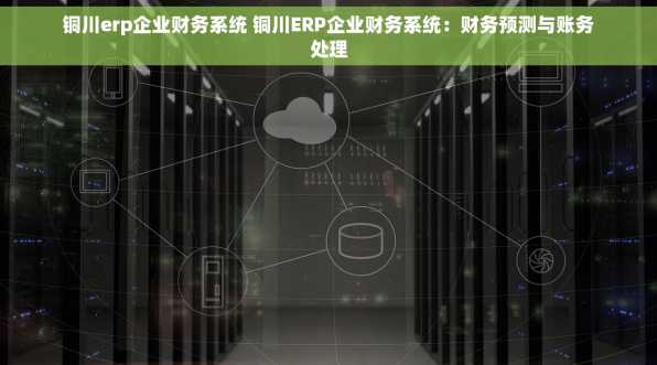 铜川erp企业财务系统 铜川ERP企业财务系统：财务预测与账务处理