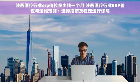 陕西医疗行业erp价位多少钱一个月 陕西医疗行业ERP价位与运维策略：选择指南及稳定运行保障