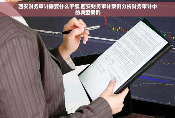 西安财务审计需要什么手续 西安财务审计案例分析财务审计中的典型案例
