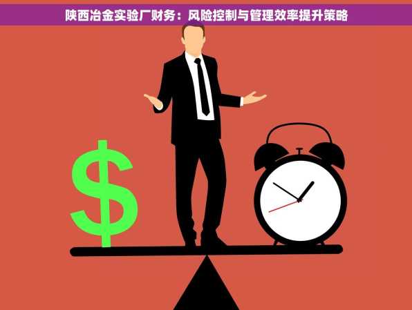 陕西冶金实验厂财务：风险控制与管理效率提升策略
