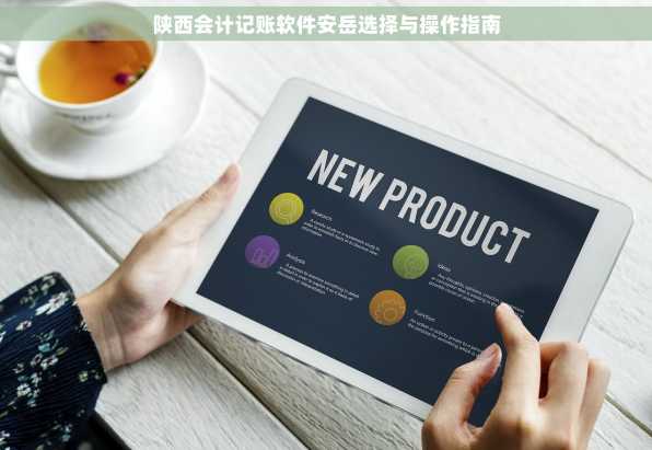 陕西会计记账软件安岳选择与操作指南