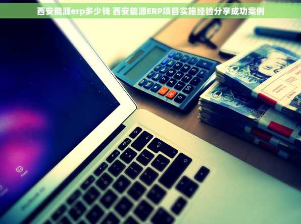 西安能源erp多少钱 西安能源ERP项目实施经验分享成功案例