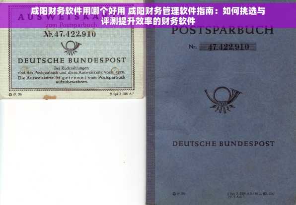 咸阳财务软件用哪个好用 咸阳财务管理软件指南：如何挑选与评测提升效率的财务软件