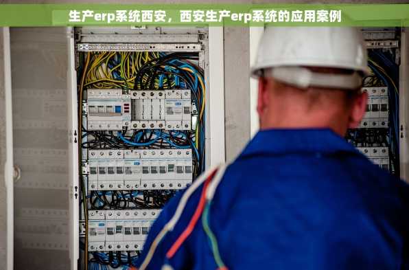 生产erp系统西安，西安生产erp系统的应用案例
