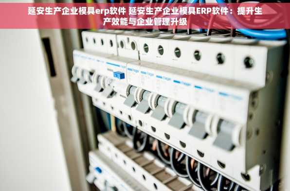 延安生产企业模具erp软件 延安生产企业模具ERP软件：提升生产效能与企业管理升级