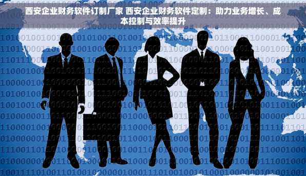 西安企业财务软件订制厂家 西安企业财务软件定制：助力业务增长、成本控制与效率提升