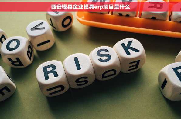 西安模具企业模具erp项目是什么