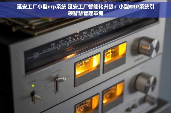 延安工厂小型erp系统 延安工厂智能化升级：小型ERP系统引领智慧管理革新