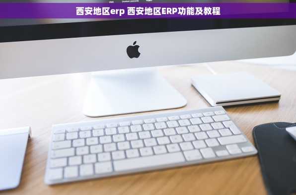 西安地区erp 西安地区ERP功能及教程