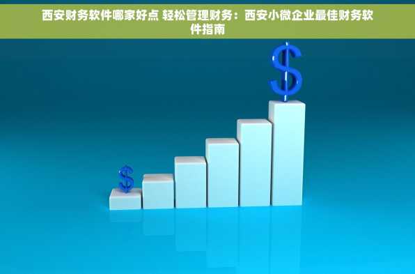 西安财务软件哪家好点 轻松管理财务：西安小微企业最佳财务软件指南