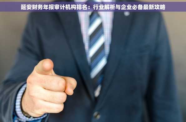 延安财务年报审计机构排名：行业解析与企业必备最新攻略