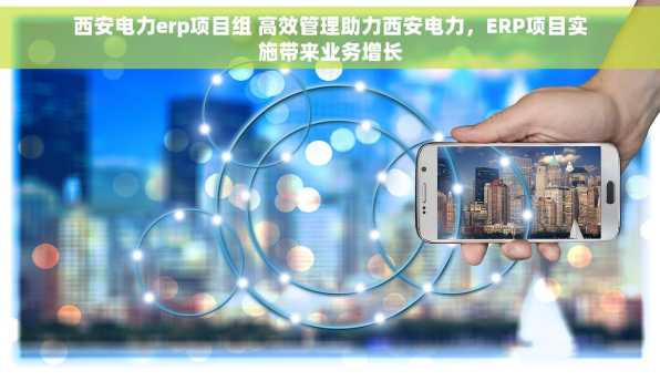 西安电力erp项目组 高效管理助力西安电力，ERP项目实施带来业务增长