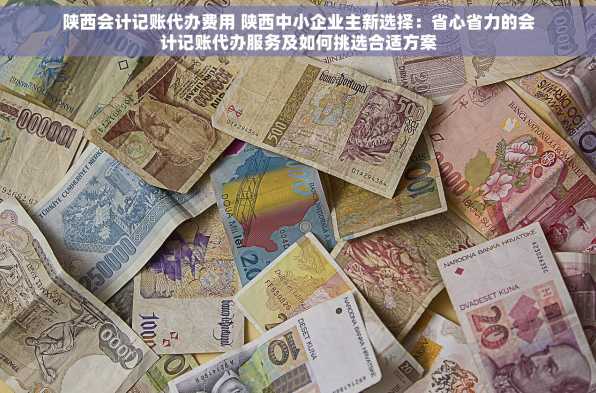 陕西会计记账代办费用 陕西中小企业主新选择：省心省力的会计记账代办服务及如何挑选合适方案