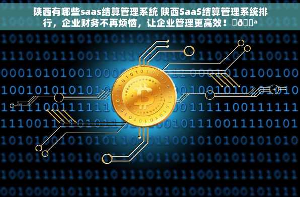 陕西有哪些saas结算管理系统 陕西SaaS结算管理系统排行，企业财务不再烦恼，让企业管理更高效！✨💪